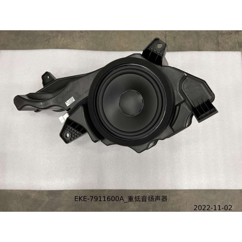 Caisson de basse - BYD - 13345482-00