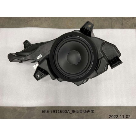 Caisson de basse - BYD - 13345482-00