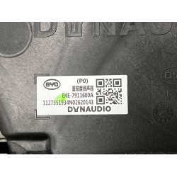 Caisson de basse - BYD - 13345482-00