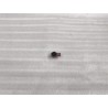 Petite sonde - Bleue - BYD - 13307867-00