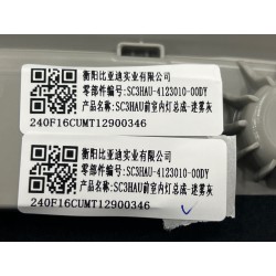 Plafonnier avant-gris - BYD - 19698991-00