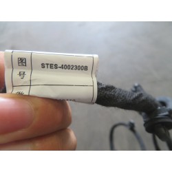 Faisceau de câbles de la portière arrière gauche - BYD - 13294886-00
