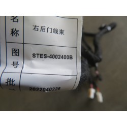 Faisceau de câbles de la portière arrière droite - BYD - 13294885-00