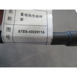 Faisceau de câbles négatif de la batterie 12 V - BYD - 13294875-00