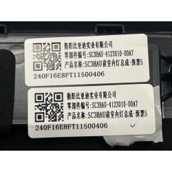Plafonnier avant-noir A7 - BYD - 19698989-00