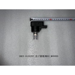 Détendeur électronique 02 - BYD - 13237180-00