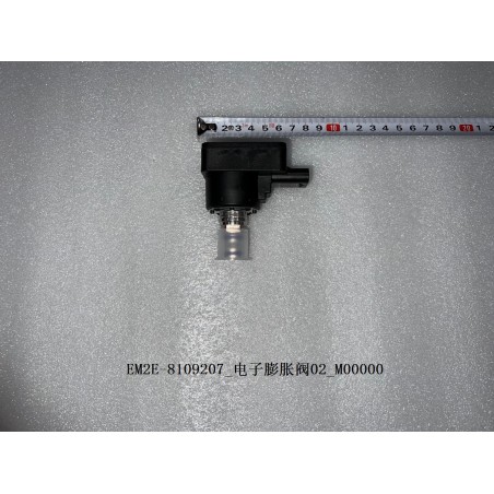Détendeur électronique 02 - BYD - 13237180-00