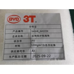 Mousse de garnissage de paroi latérale arrière - BYD - 13233950-00