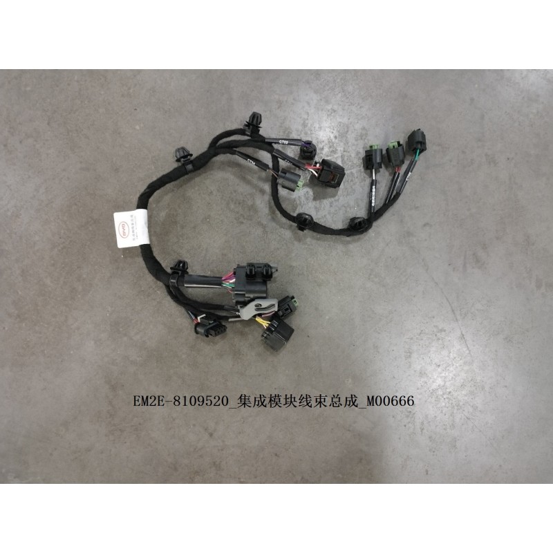 Faisceau de câbles du module intégré - BYD - 13229145-00