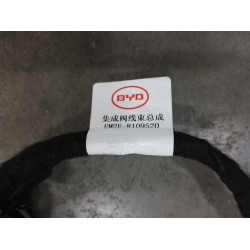 Faisceau de câbles du module intégré - BYD - 13229145-00