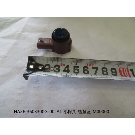 Petite sonde - Bleue - BYD - 13222068-00