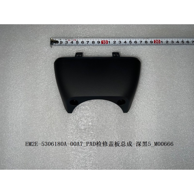 Panneau d'accès au PAD - Noir foncé 5 - BYD - 13209745-00