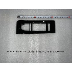 Commande de la vitre de la portière avant gauche - Noir foncé 5 - BYD - 13209005-00