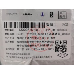 Bouchon de carrosserie inférieur de porte arrière droite - BYD - 13202515-00