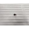 Petite sonde - Noir standard - BYD - 13195405-00