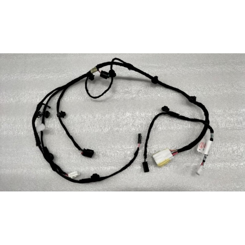 Faisceau de hayon 2 - BYD - 14158069-00