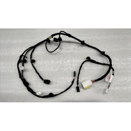 Faisceau de hayon 2 - BYD - 14158069-00