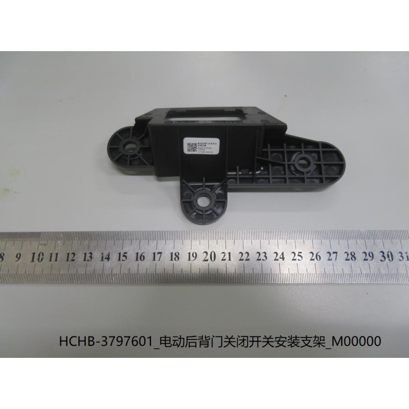 Support de montage de l'interrupteur de fermeture électrique du couvercle du coffre - BYD - 13190460-00