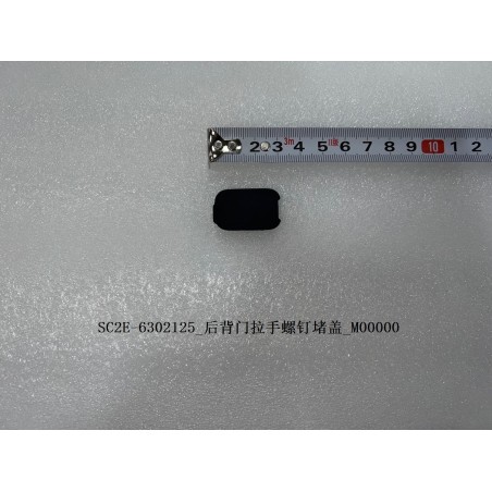 Bouchon à vis de la poignée du couvercle du coffre - BYD - 13190223-00