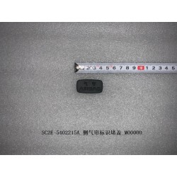 Bouchon d'identification de l'airbag rideau latéral - BYD - 13190222-00