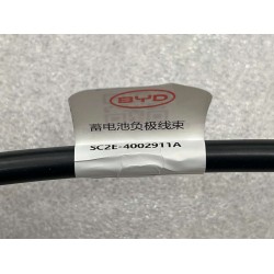 Faisceau de câbles négatif de la batterie 12 V - BYD - 13187065-00