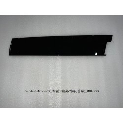 Garniture extérieure du pilier B avant droit - BYD - 13186845-00