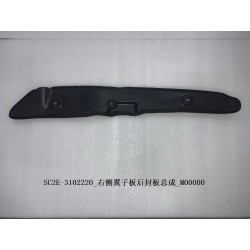 Panneau de recouvrement arrière de l'aile droite - BYD - 13186466-00