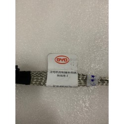 Faisceau de câbles de mise à la terre I du boîtier de l'unité de commande du moteur principal - BYD - 13185261-00