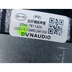 Enceinte surround droit - BYD - 13185220-00