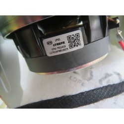 Enceinte surround gauche - BYD - 13185219-00