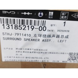 Enceinte surround gauche - BYD - 13185219-00
