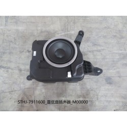 Caisson de basse - BYD - 13185157-00