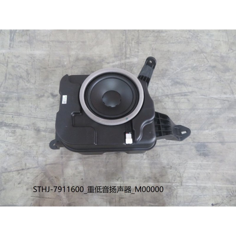 Caisson de basse - BYD - 13185157-00