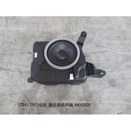 Caisson de basse - BYD - 13185157-00