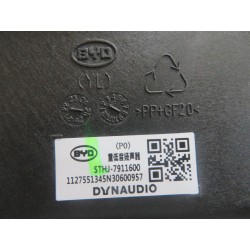 Caisson de basse - BYD - 13185157-00