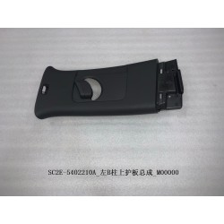 Protection supérieure du pilier B gauche - BYD - 13182864-00
