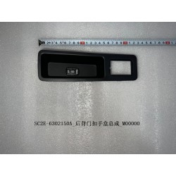 Boîte à poignées du couvercle du coffre - BYD - 13182848-00
