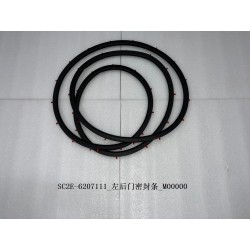 Bande d'étanchéité de la portière arrière gauche - BYD - 13167870-00