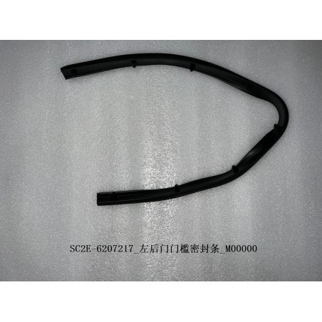 Bande d'étanchéité du seuil de la portière arrière gauche - BYD - 13167869-00
