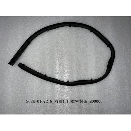 Bande d'étanchéité du seuil de la portière avant droite - BYD - 13167843-00