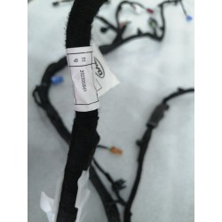 Faisceau de câblage de pavillon - BYD - 14145220-00