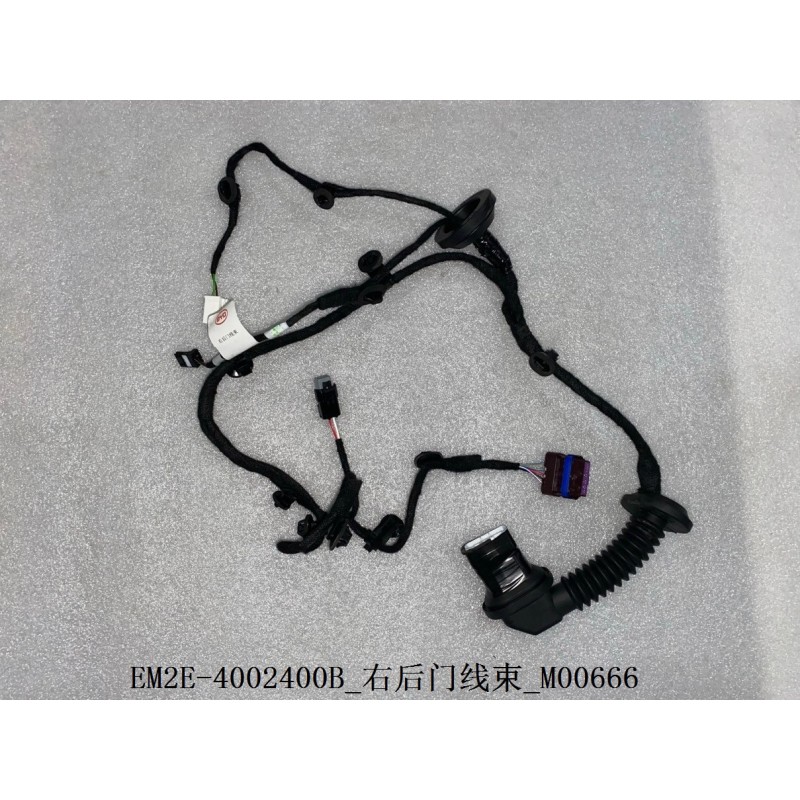 Faisceau de câbles de la portière arrière droite - BYD - 13151575-00