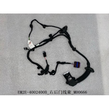 Faisceau de câbles de la portière arrière droite - BYD - 13151575-00