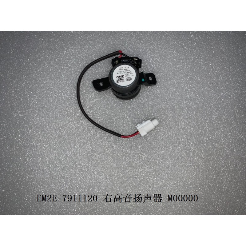 Haut-parleur aigu droit - BYD - 13148727-00