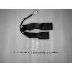 Boucle de la ceinture de sécurité arrière droite - BYD - 13139048-00