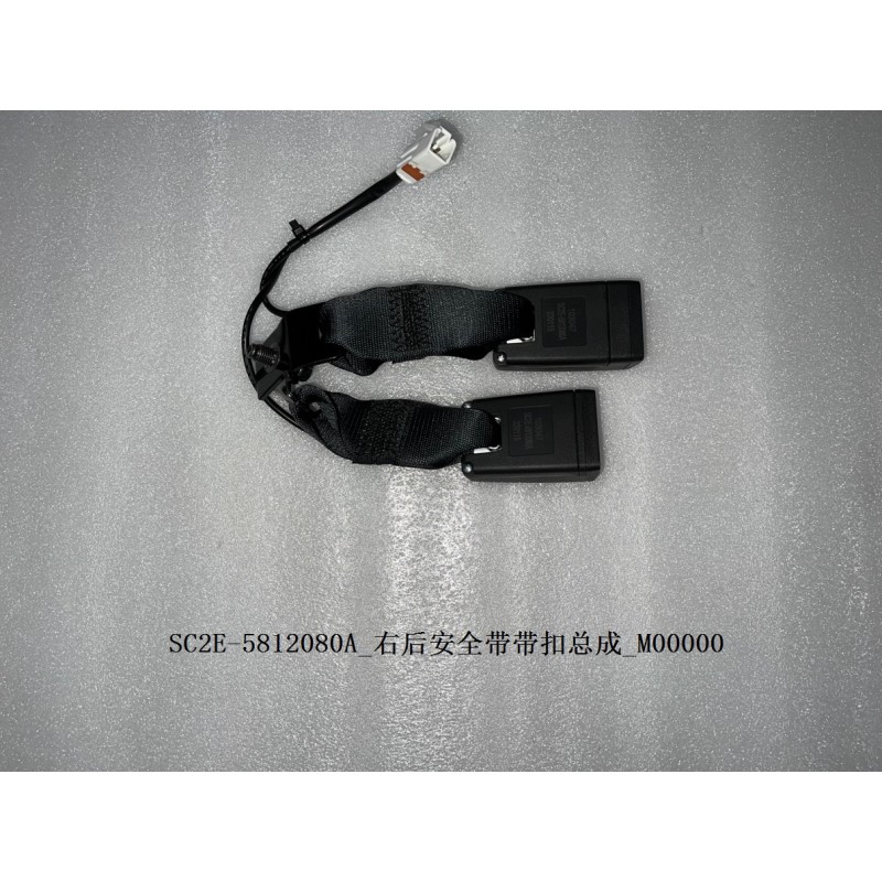 Boucle de la ceinture de sécurité arrière droite - BYD - 13139048-00