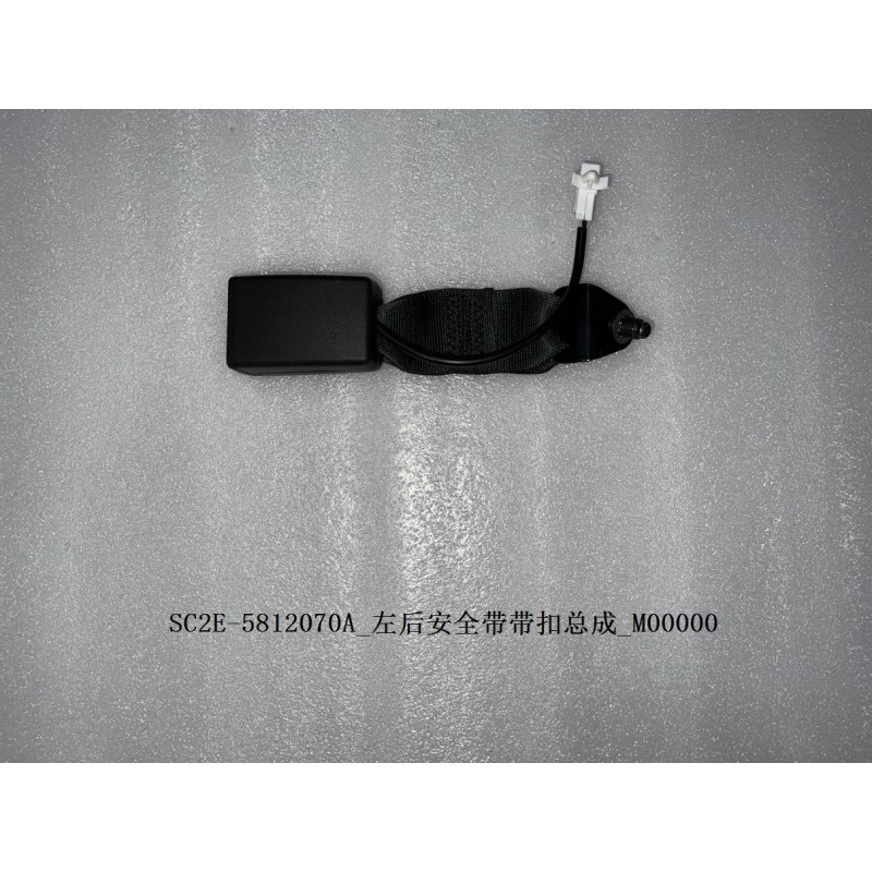 Boucle de la ceinture de sécurité arrière gauche - BYD - 13139047-00