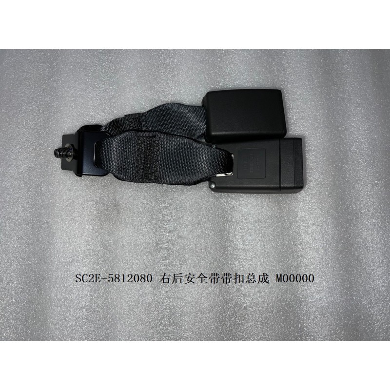 Boucle de la ceinture de sécurité arrière droite - BYD - 13139046-00