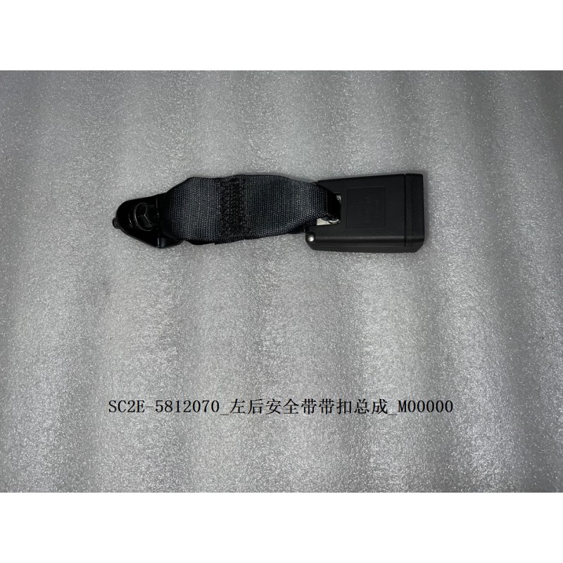 Boucle de la ceinture de sécurité arrière gauche - BYD - 13139041-00