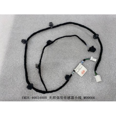 Fil de capteur d'intensité lumineuse - BYD - 13136590-00